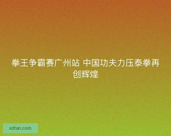 拳王争霸赛广州站 中国功夫力压泰拳再创辉煌