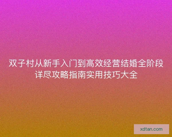 双子村从新手入门到高效经营结婚全阶段详尽攻略指南实用技巧大全