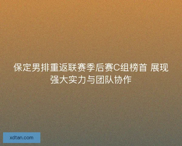 保定男排重返联赛季后赛C组榜首 展现强大实力与团队协作 保定男排重返联赛季后赛C组榜首 展现强大实力与团队协作